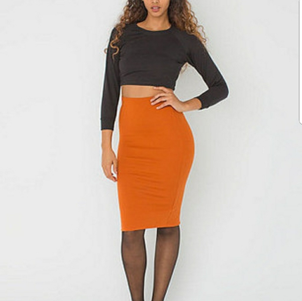 American Apparel Pencil Skirt